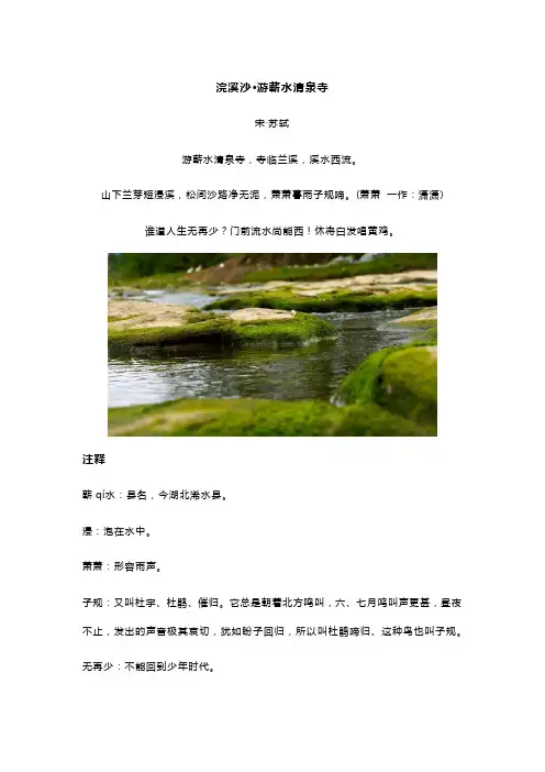 苏轼《浣溪沙 游蕲水清泉寺》全诗译文及赏析