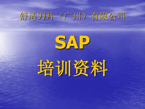 SAP 培训资料