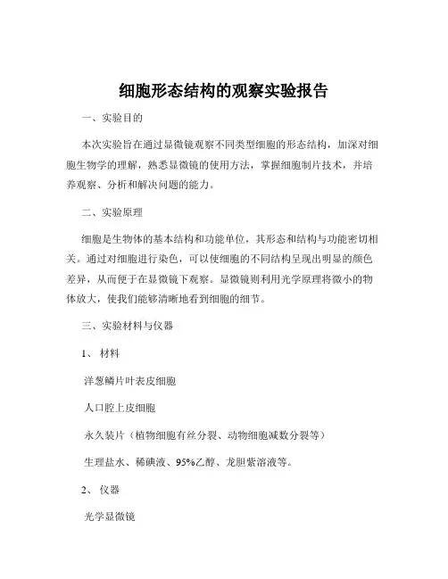 细胞形态结构的观察实验报告