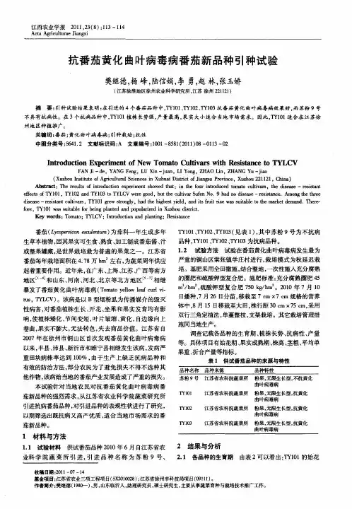 抗番茄黄化曲叶病毒病番茄新品种引种试验
