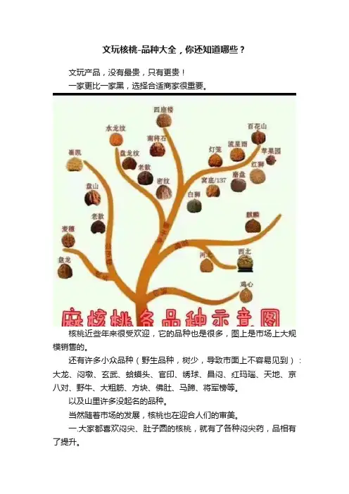 文玩核桃-品种大全，你还知道哪些？