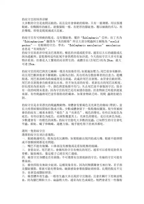 豹纹守宫的饲养详解