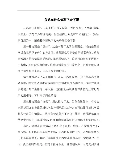 公鸡在什么情况下会下蛋