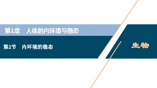 高中生物新人教版选择性必修1内环境的稳态(40张)课件