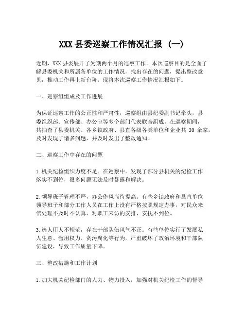 XXX县委巡察工作情况汇报 (一)