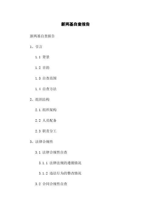 新两基自查报告