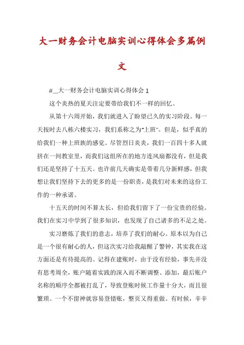 大一财务会计电脑实训心得体会多篇例文