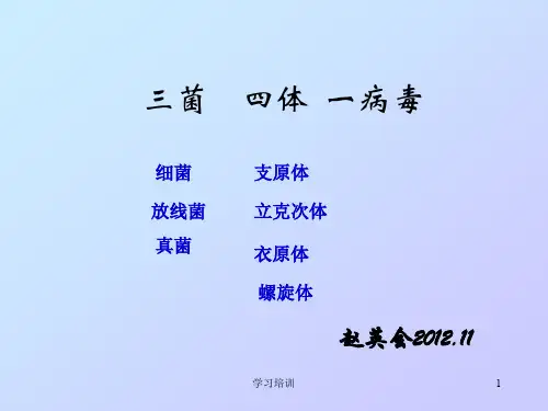 螺旋体、支原体、衣原体、立克次体三菌四体一病毒(培训学习)