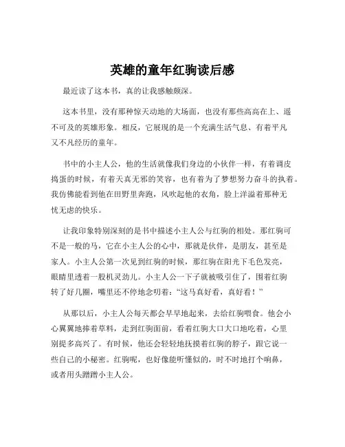 英雄的童年红驹读后感
