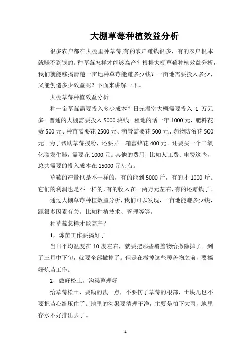 大棚草莓种植效益分析