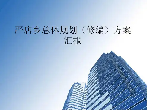 安徽肥西严店总体规划