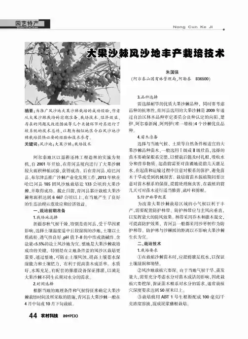 大果沙棘风沙地丰产栽培技术
