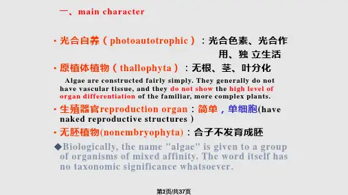 植物界基本类群与分类PPT课件
