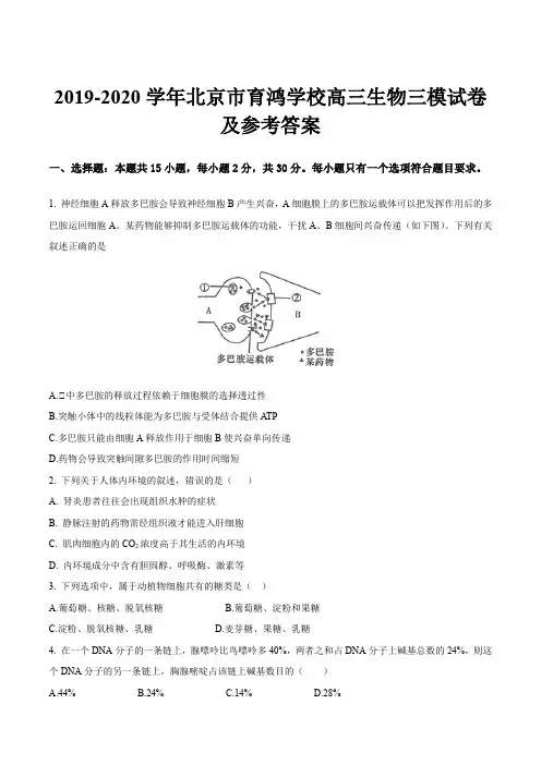 2019-2020学年北京市育鸿学校高三生物三模试卷及参考答案