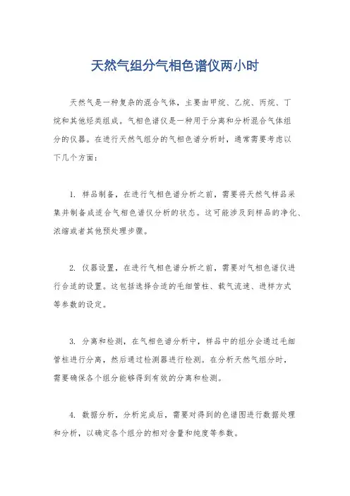 天然气组分气相色谱仪两小时