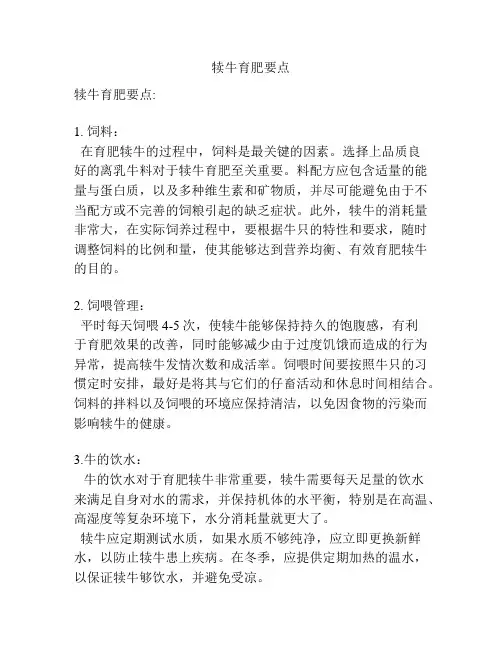 犊牛育肥要点