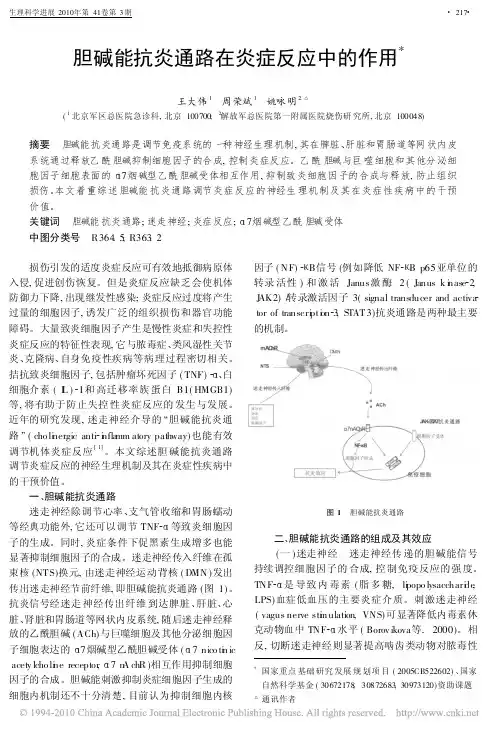 胆碱能抗炎通路在炎症反应中的作用