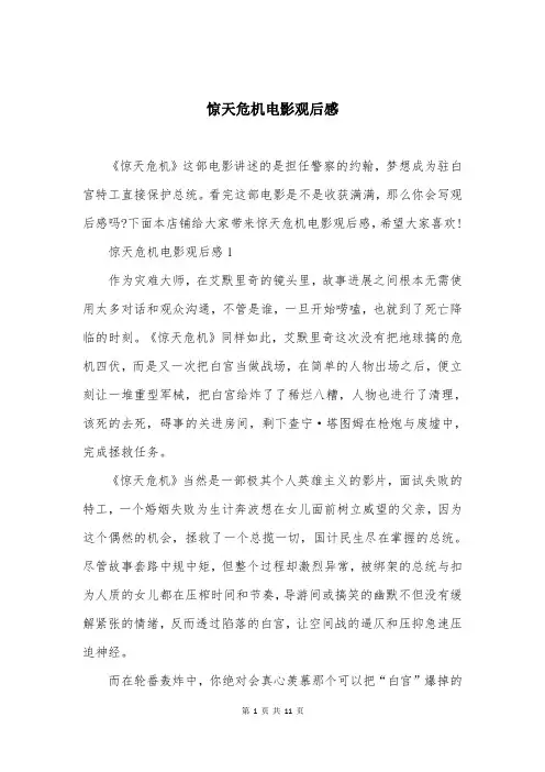 惊天危机电影观后感
