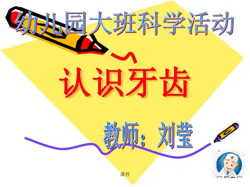 教案大班科学活动《我的牙齿》.ppt