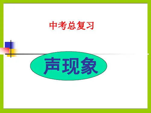 中考物理总复习--声现象专题