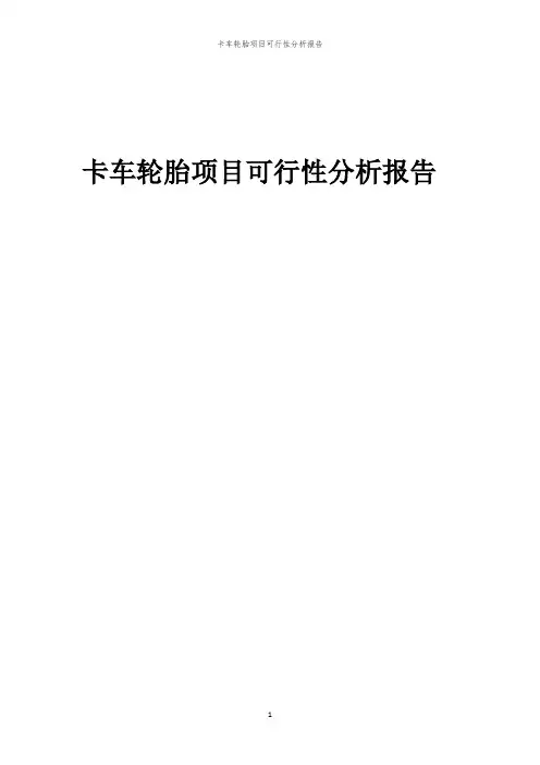 卡车轮胎项目可行性分析报告