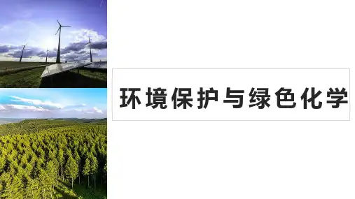 环境保护与绿色化学 高一下学期化学人教版必修第二册