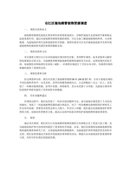 右江区湿地维管植物资源调查