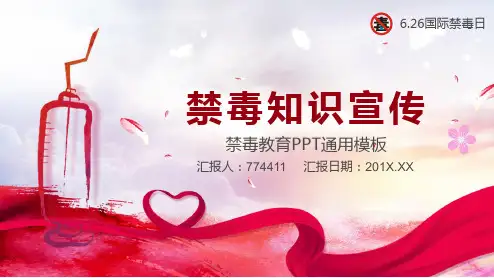 禁毒知识宣传PPT