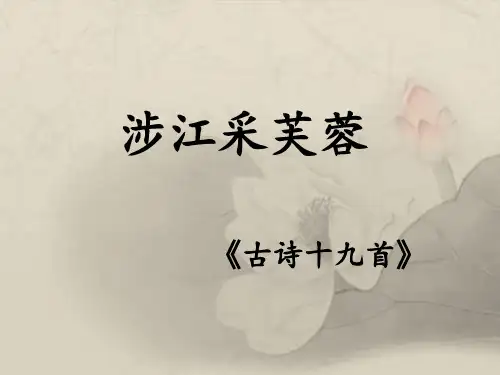 人教版必修2 《涉江采芙蓉》 课件(共25张PPT)