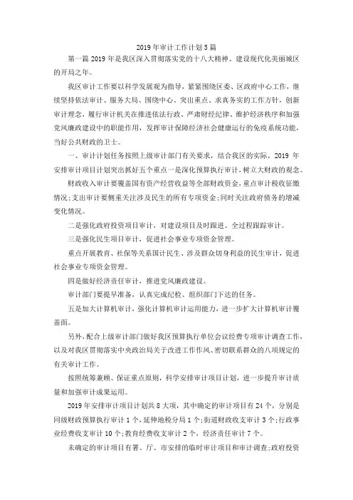 最新-2019年审计工作计划5篇 精品