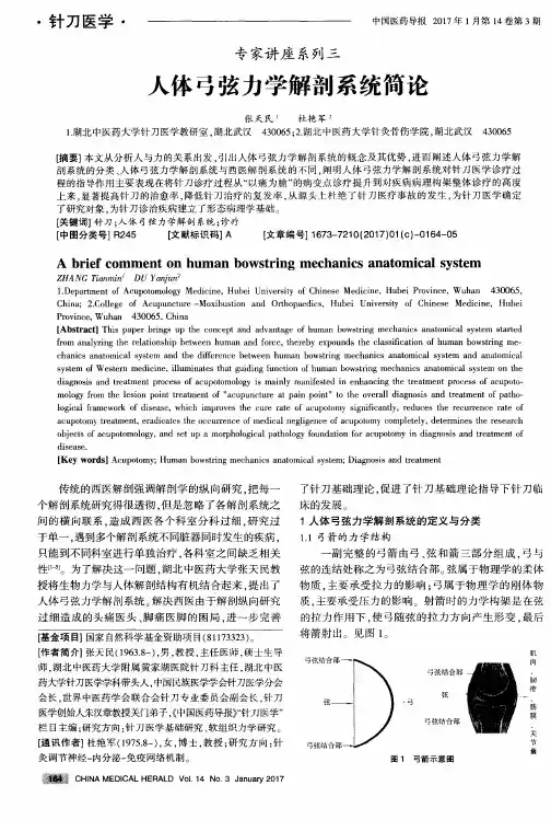 人体弓弦力学解剖系统简论