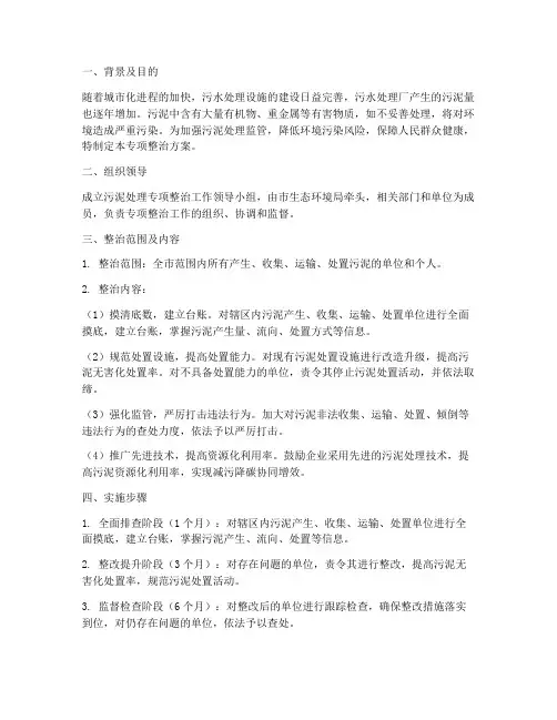 污泥处理专项整治方案