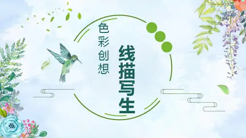 7-8岁幼儿园小学美术PPT课件教案教程创意幼教手工色彩创想线描《写生-猕猴桃》
