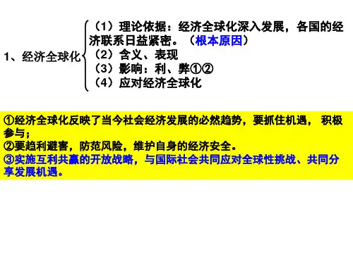 高中政治之经济全球化与对外开放