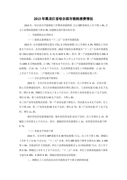 2013年黑龙江省哈尔滨市能耗消费情况