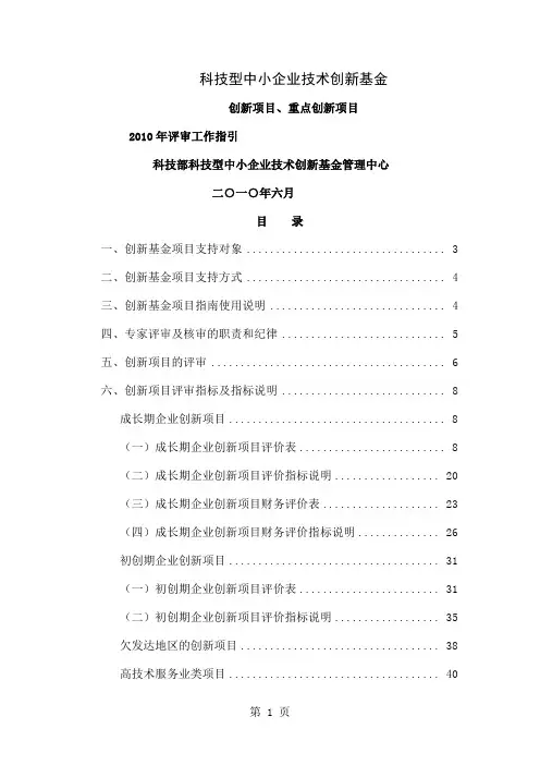 2019年评审工作指引-61页文档资料