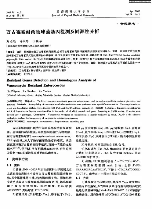 万古霉素耐药肠球菌基因检测及同源性分析