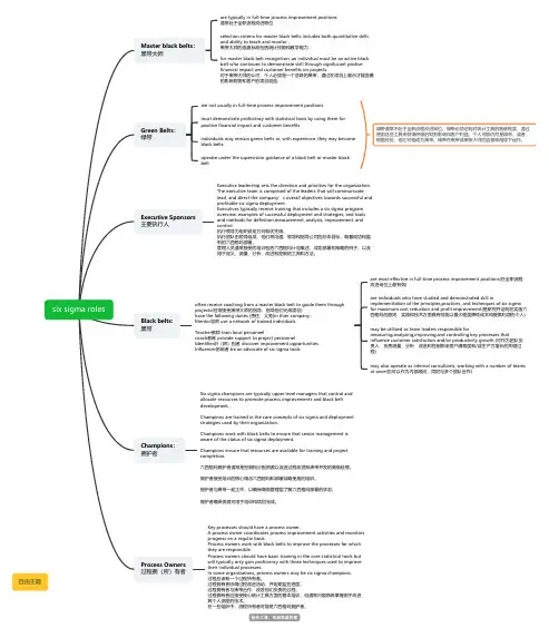 six sigma roles思维导图 脑图