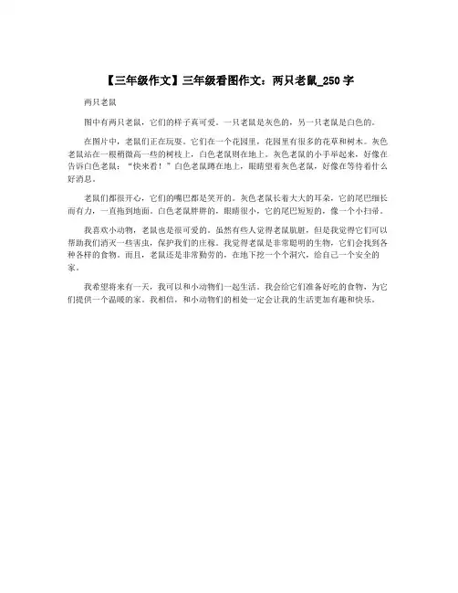 【三年级作文】三年级看图作文：两只老鼠_250字