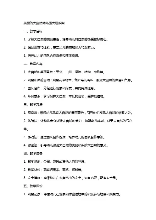 美丽的大自然幼儿园大班教案