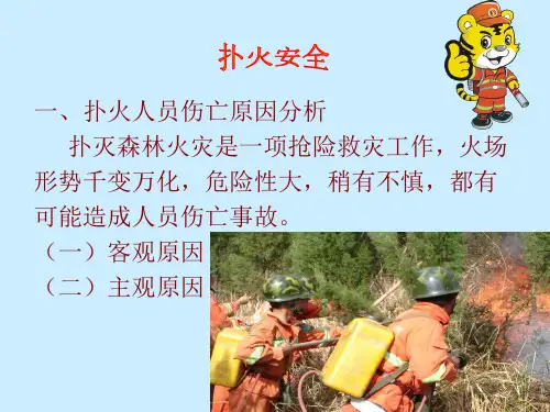 森林火灾扑救安全知识培训讲座ppt课件