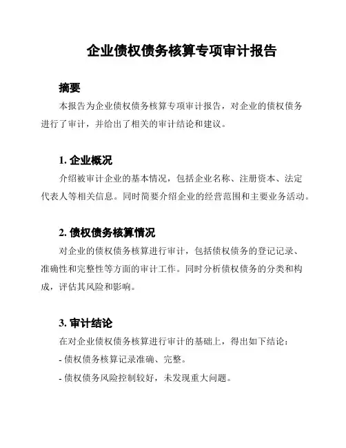 企业债权债务核算专项审计报告