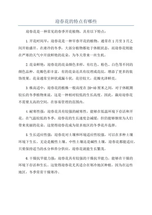 迎春花的特点有哪些