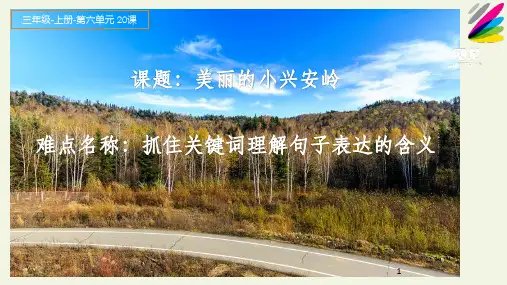 人教版(部编版)小学语文三年级上册《抓住关键词理解句子表达的含义》精品课件