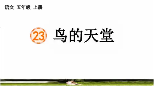 部编版五年级语文上册第七单元第23课《鸟的天堂》教学课件