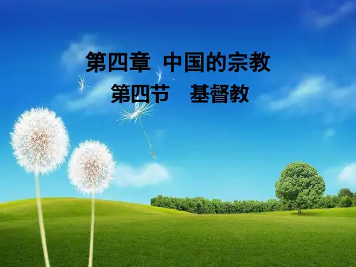 导游基础知识(44第四章第四节)