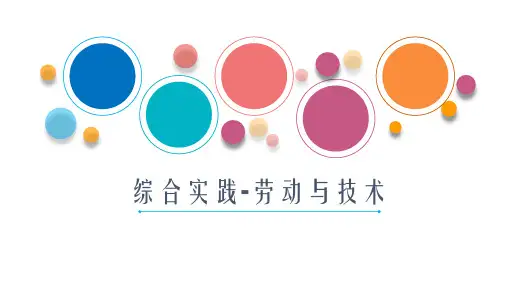 优质课一等奖小学综合实践《巧手工艺坊：巧手缝沙包》