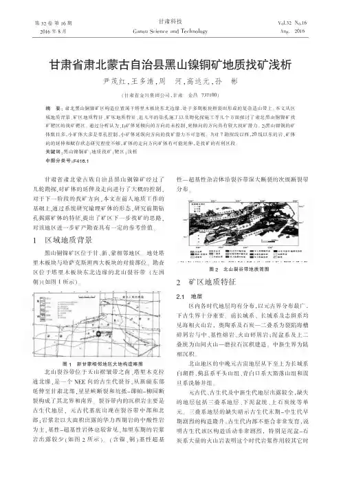 甘肃省肃北蒙古自治县黑山镍铜矿地质找矿浅析