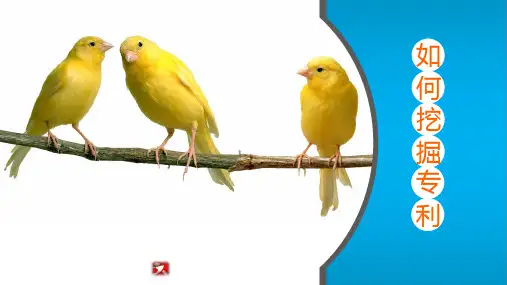 如何挖掘专利