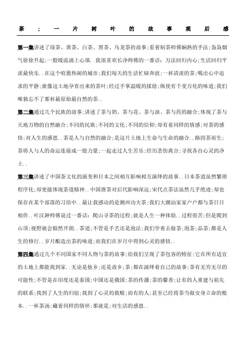 茶片树叶的故事观后感